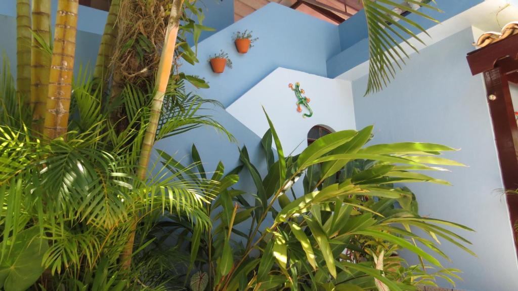 Pousada Raios De Luar Boiçucanga Exterior foto